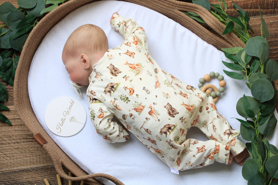 Boxpakje nature animal