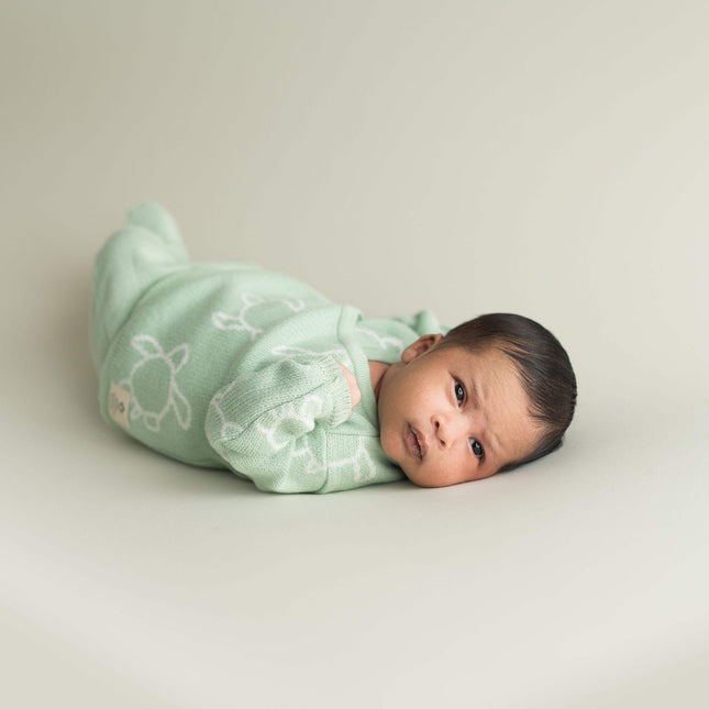 Newborn geboorteset | turtle soft green | 0-3 maanden