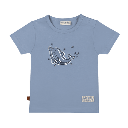 Shortsleeve dolphin