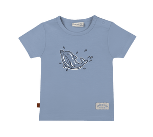 Shortsleeve dolphin