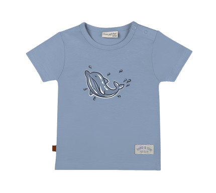 Shortsleeve dolphin