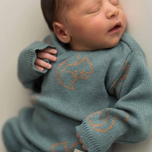Newborn geboorteset squirrel | 0-3 maanden